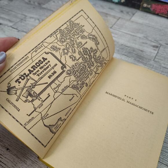 Tularosa by Jessica Richards 1979 First Jove edition Vintage Historical Romance - Picture 4 of 13